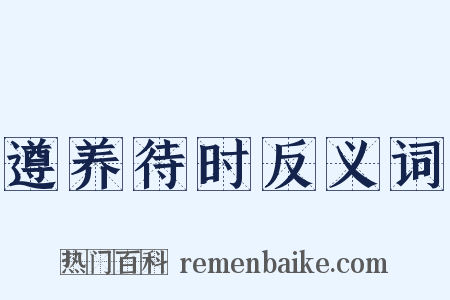 遵养待时反义词是什么意思的图片